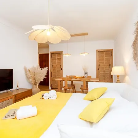 Hippie Palm Yourhosthelper Appartement Cannes